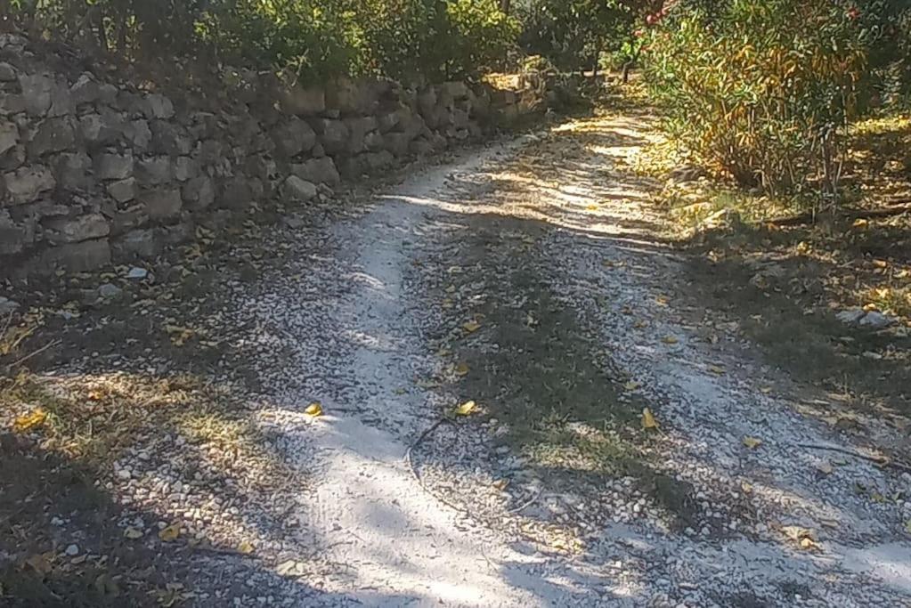 Moradia Na Serra Alcanede 외부 사진