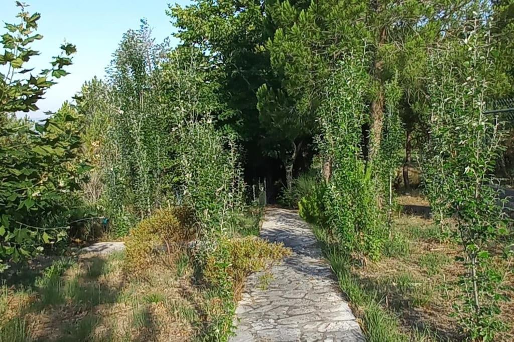 Moradia Na Serra Alcanede 외부 사진